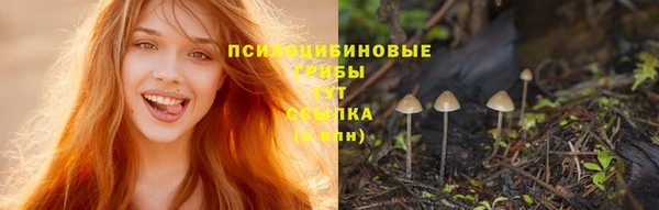 альфа пвп Баксан