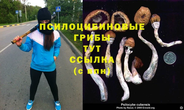 альфа пвп Баксан