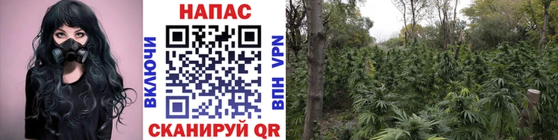 Бошки Шишки план  мега вход  Котельниково 